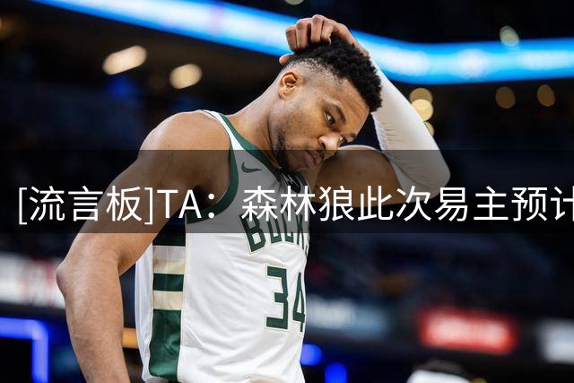 [流言板]TA：森林狼此次易主预计不会大洗牌，现有管理结构保持稳定